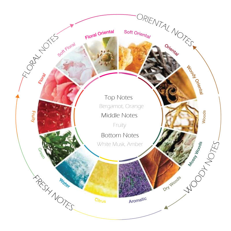 Amber Scented Fragrance | Amber Citrus Perfume | Scentby7